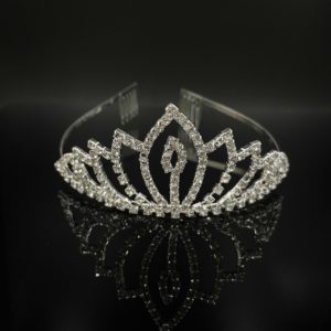 Coroa Daminha 107544
