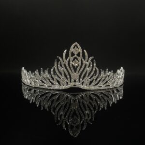 Coroa Noiva 100158