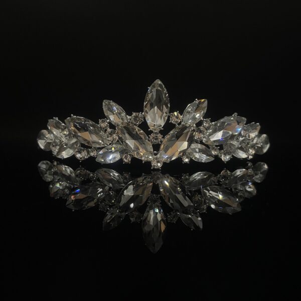 Coroa Noiva 105367